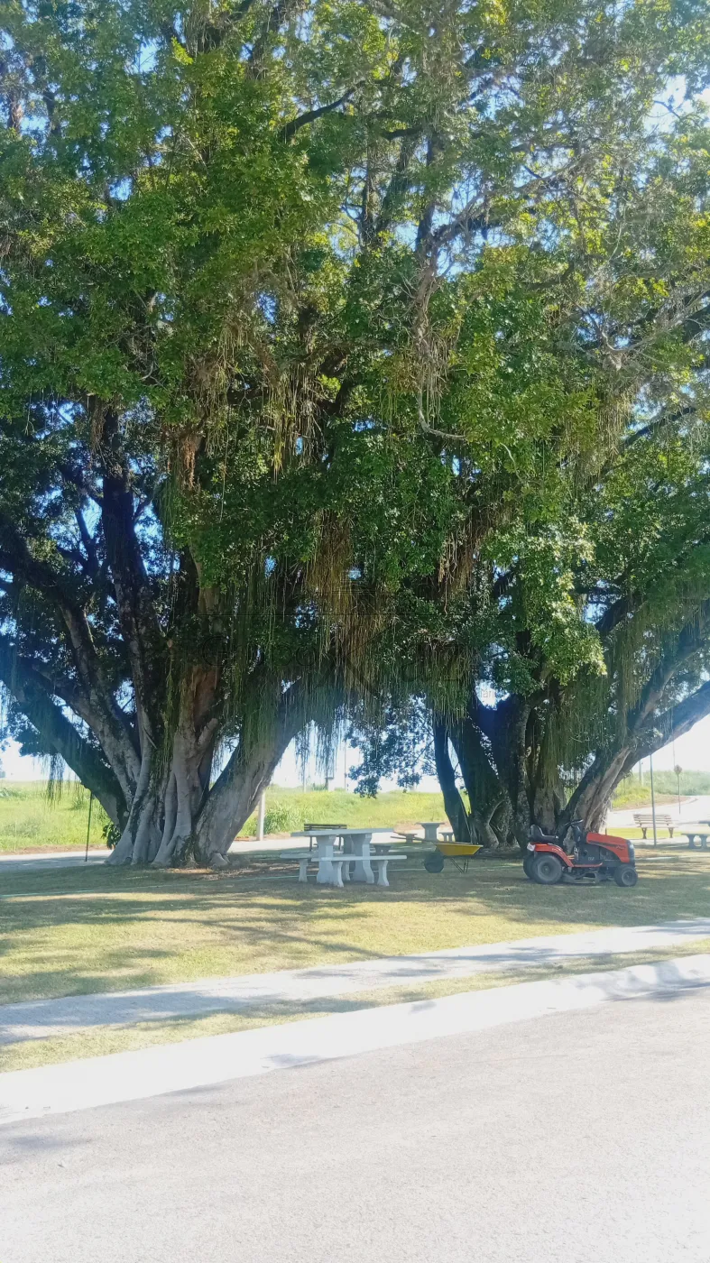 Foto 13 de Terreno Condomínio em Borda da Mata, Caçapava - imagem 13