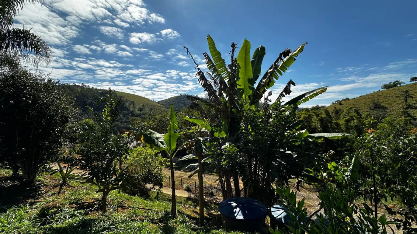Foto 70 de Rural Chácara em Bairro do São João, São José dos Campos - imagem 70