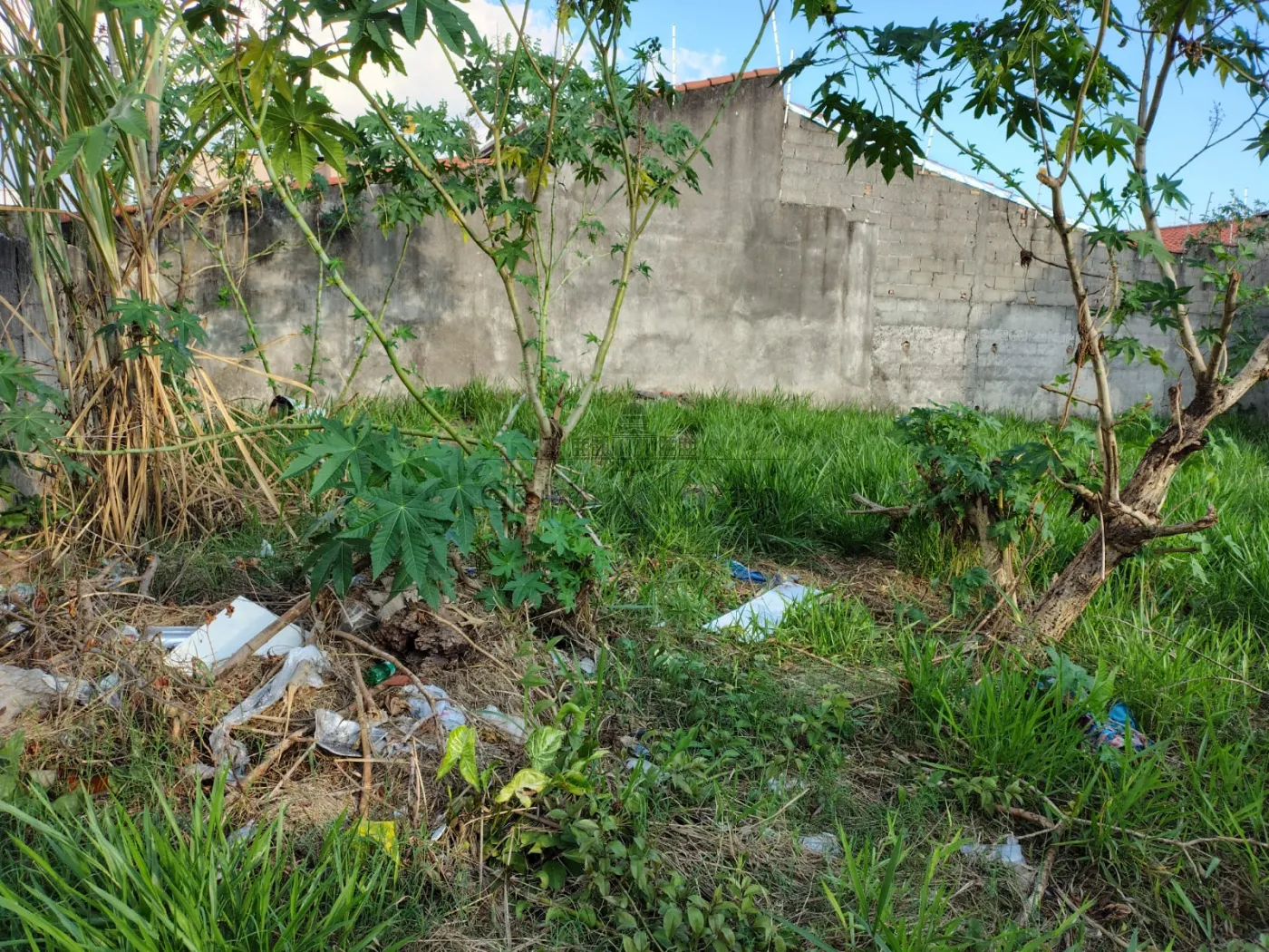 Foto 5 de Terreno Padrão em Jardim Califórnia, Jacareí - imagem 5
