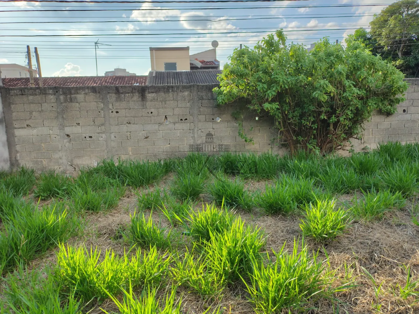 Foto 6 de Terreno Padrão em Jardim Califórnia, Jacareí - imagem 6