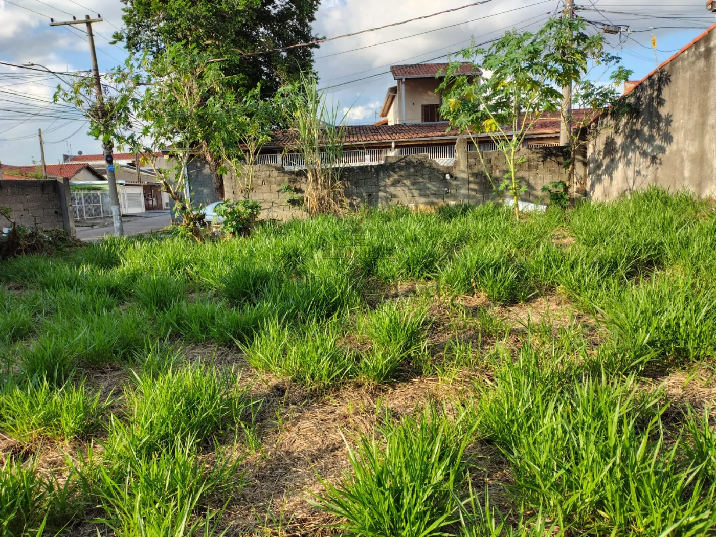 Foto 7 de Terreno Padrão em Jardim Califórnia, Jacareí - imagem 7