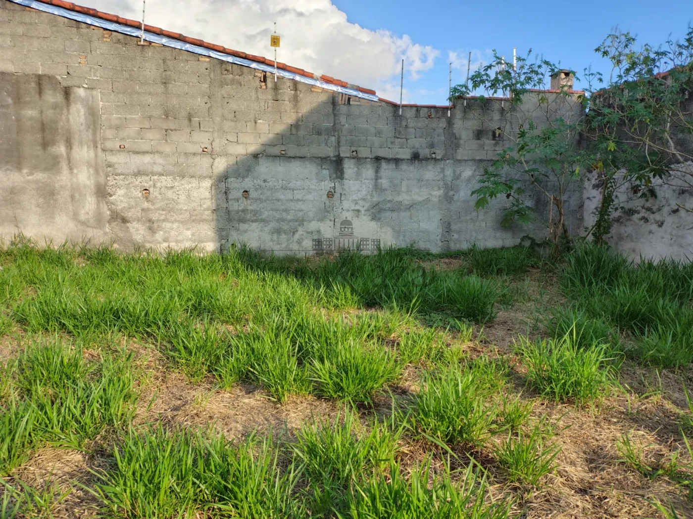 Foto 8 de Terreno Padrão em Jardim Califórnia, Jacareí - imagem 8