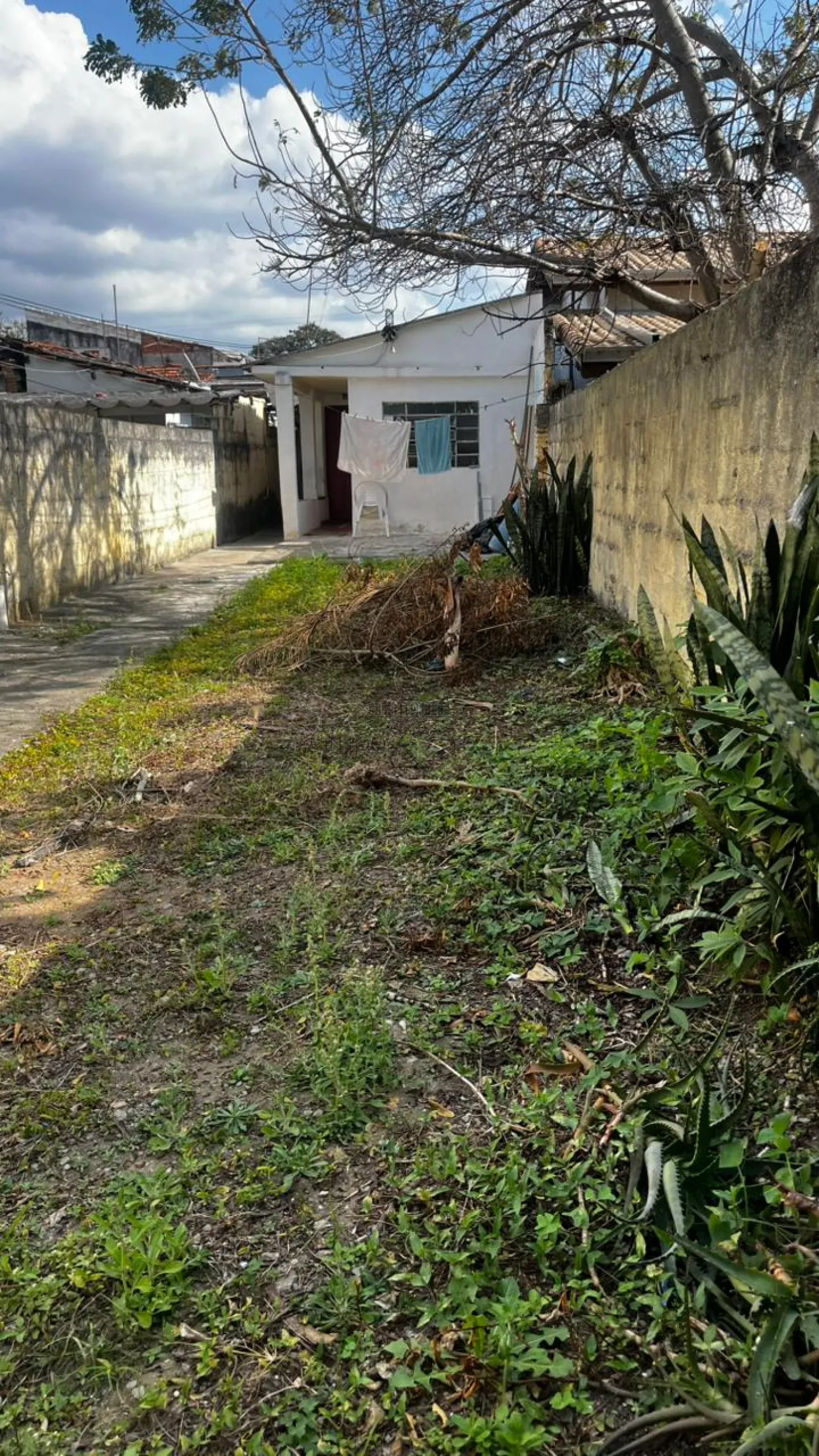 Foto 2 de Terreno Padrão em Jardim Paulista, São José dos Campos - imagem 2