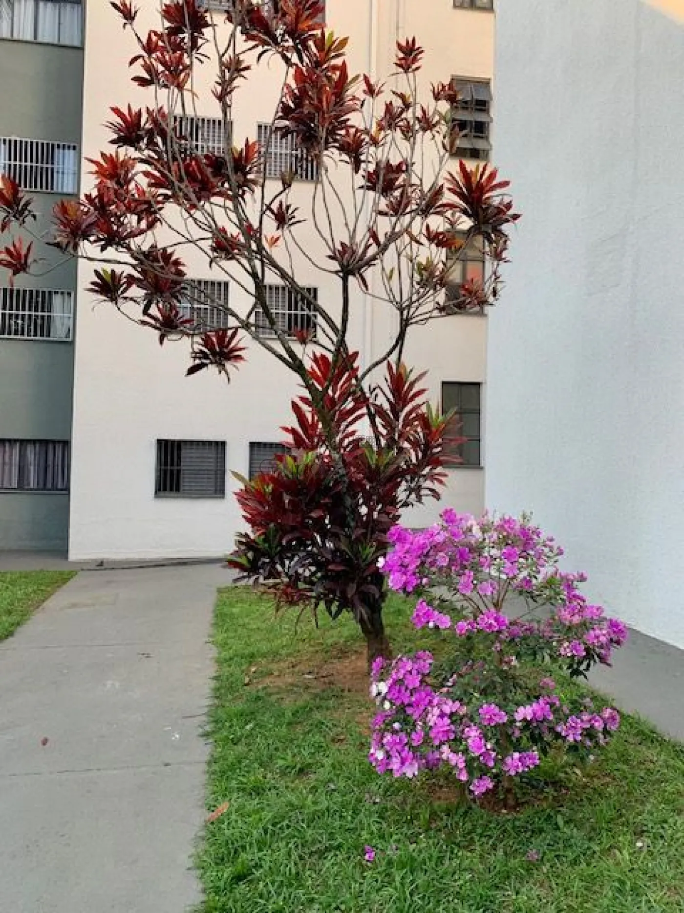 Foto 16 de Apartamento Padrão em Palmeiras de São José, São José dos Campos - imagem 16