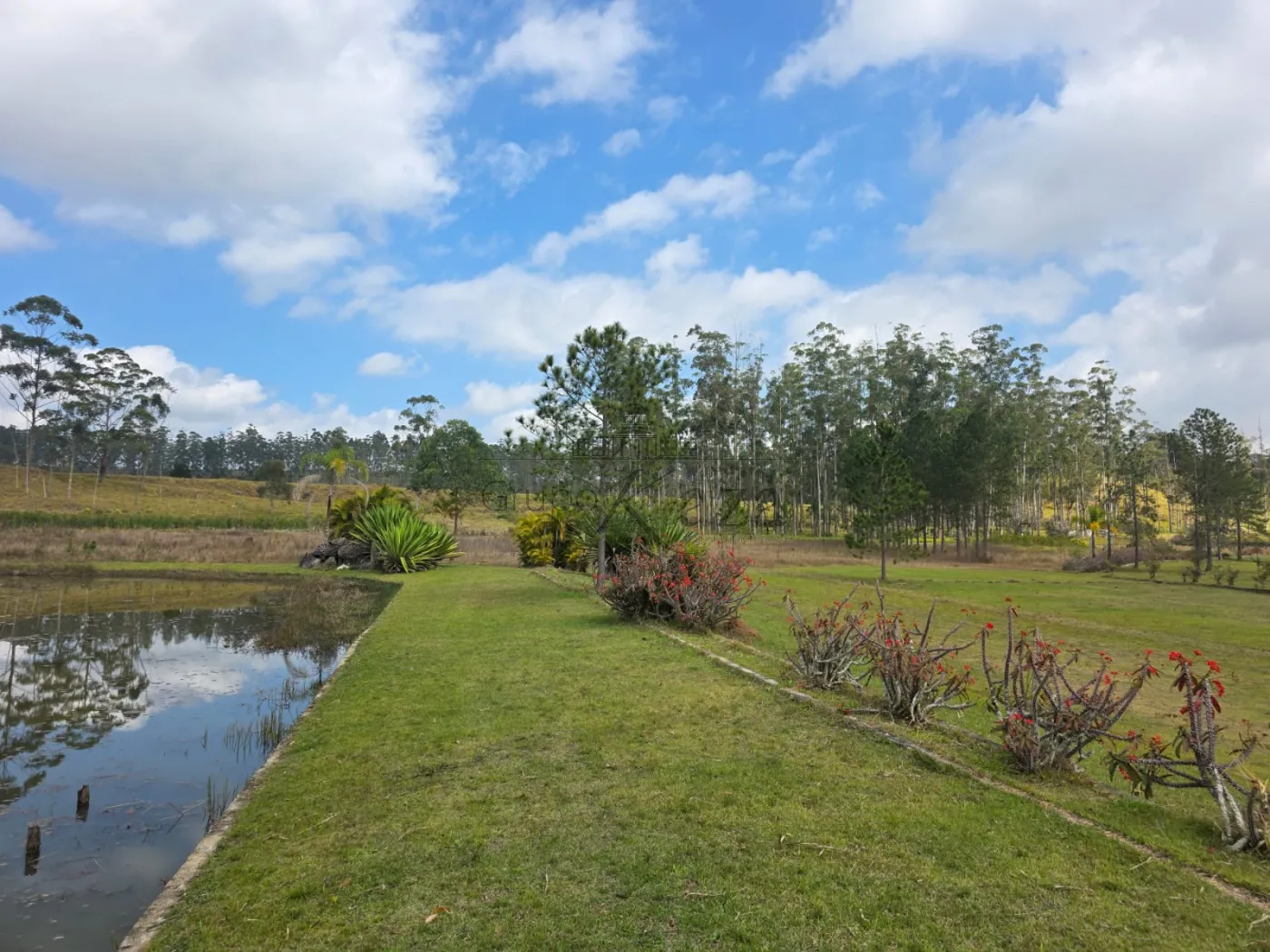 Foto 19 de Rural Fazenda em Bandeira Branca, Jacareí - imagem 19