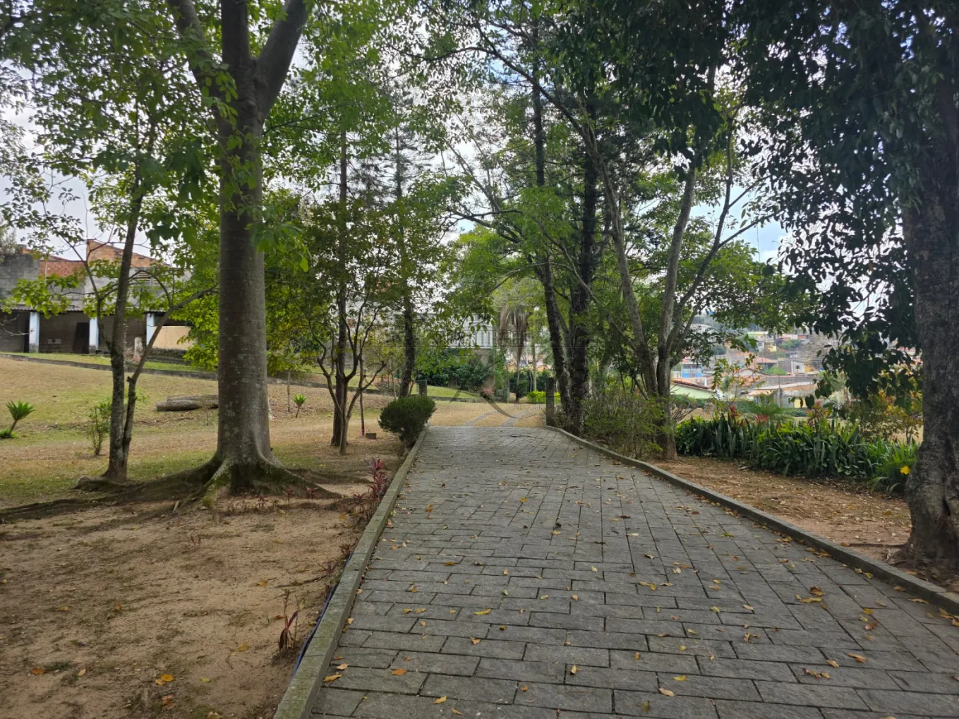 Foto 17 de Rural Fazenda em Bandeira Branca, Jacareí - imagem 17