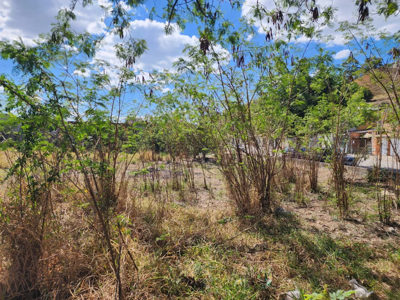 Foto 1 de Terreno Padrão em Jardim Pararangaba, São José dos Campos - imagem 1