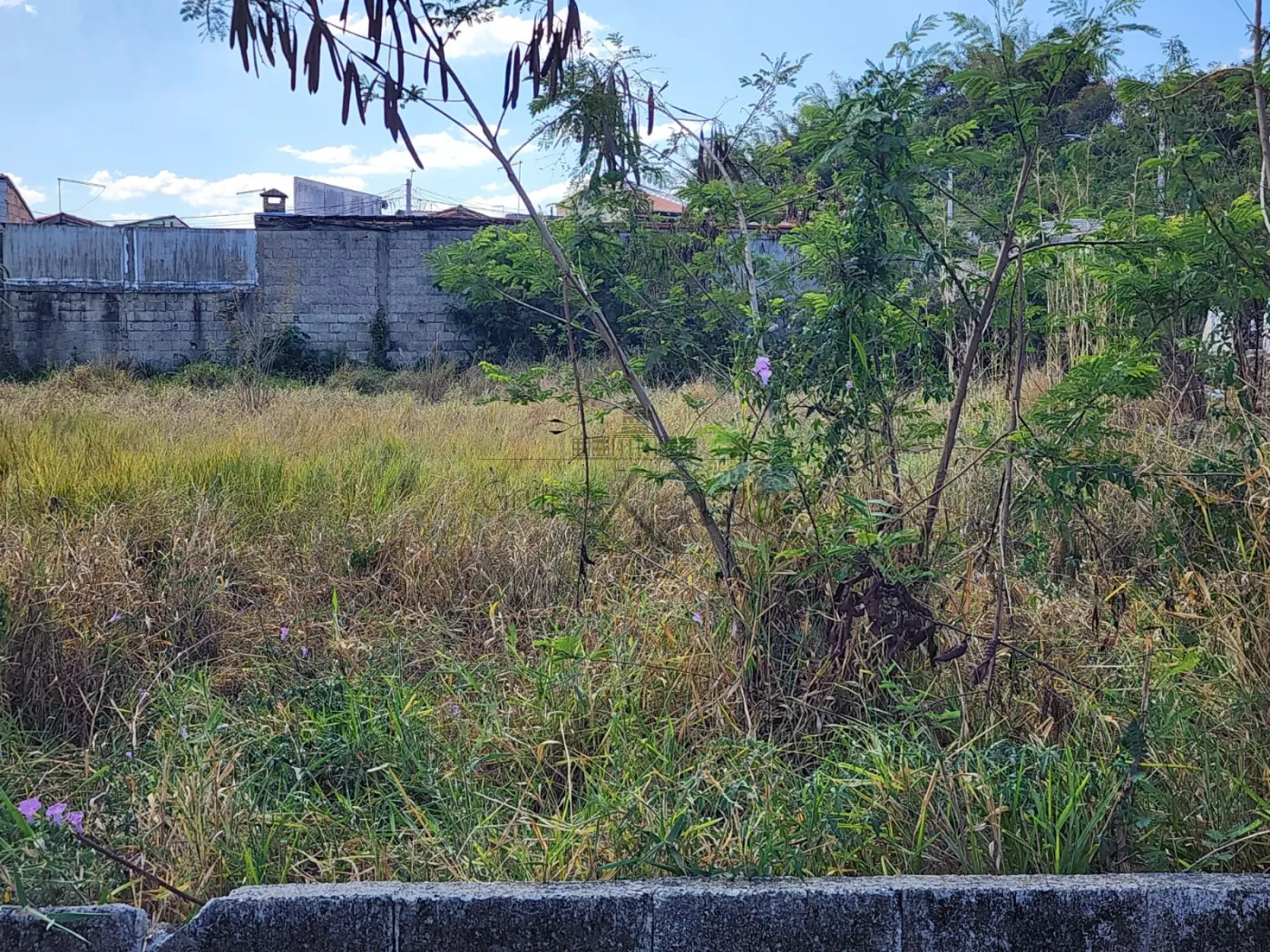 Foto 1 de Terreno Padrão em Jardim Pararangaba, São José dos Campos - imagem 1