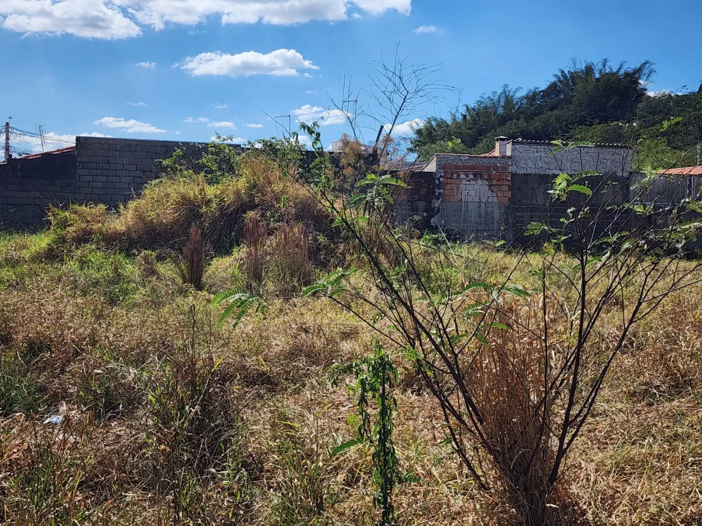 Foto 2 de Terreno Padrão em Jardim Pararangaba, São José dos Campos - imagem 2