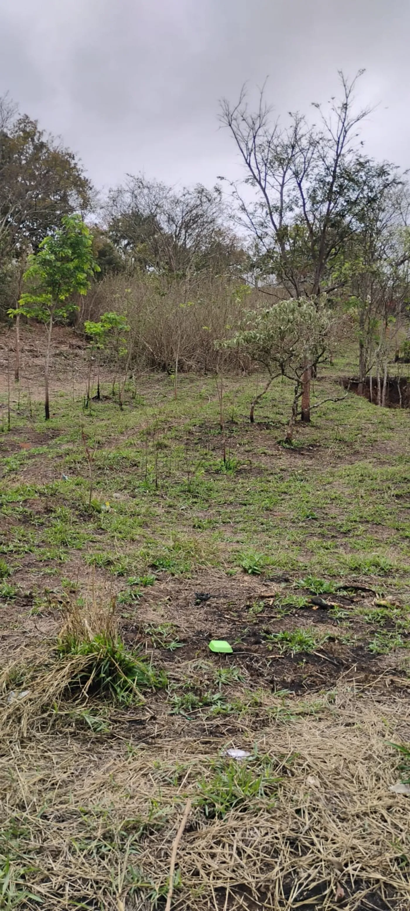 Foto 9 de Terreno Padrão em Chácaras Pousada do Vale, São José dos Campos - imagem 9