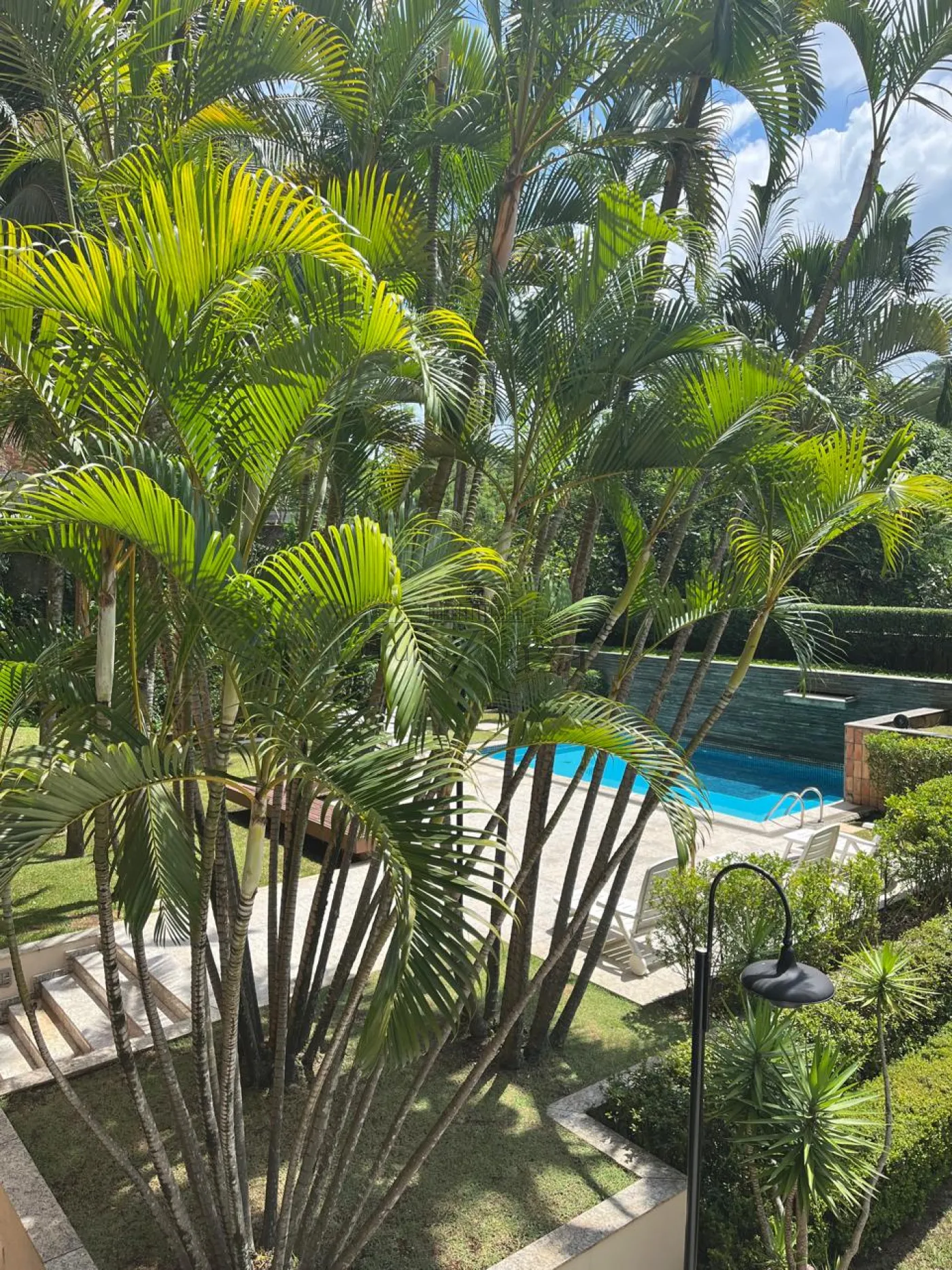 Foto 15 de Apartamento Padrão em Real Parque, São Paulo - imagem 15