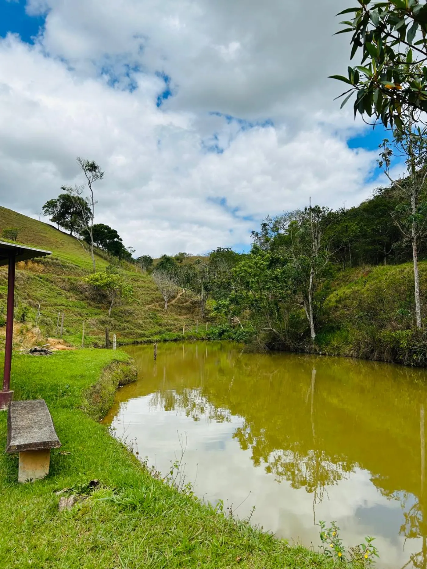 Foto 68 de Rural Chácara em Vila São Geraldo, São José dos Campos - imagem 68