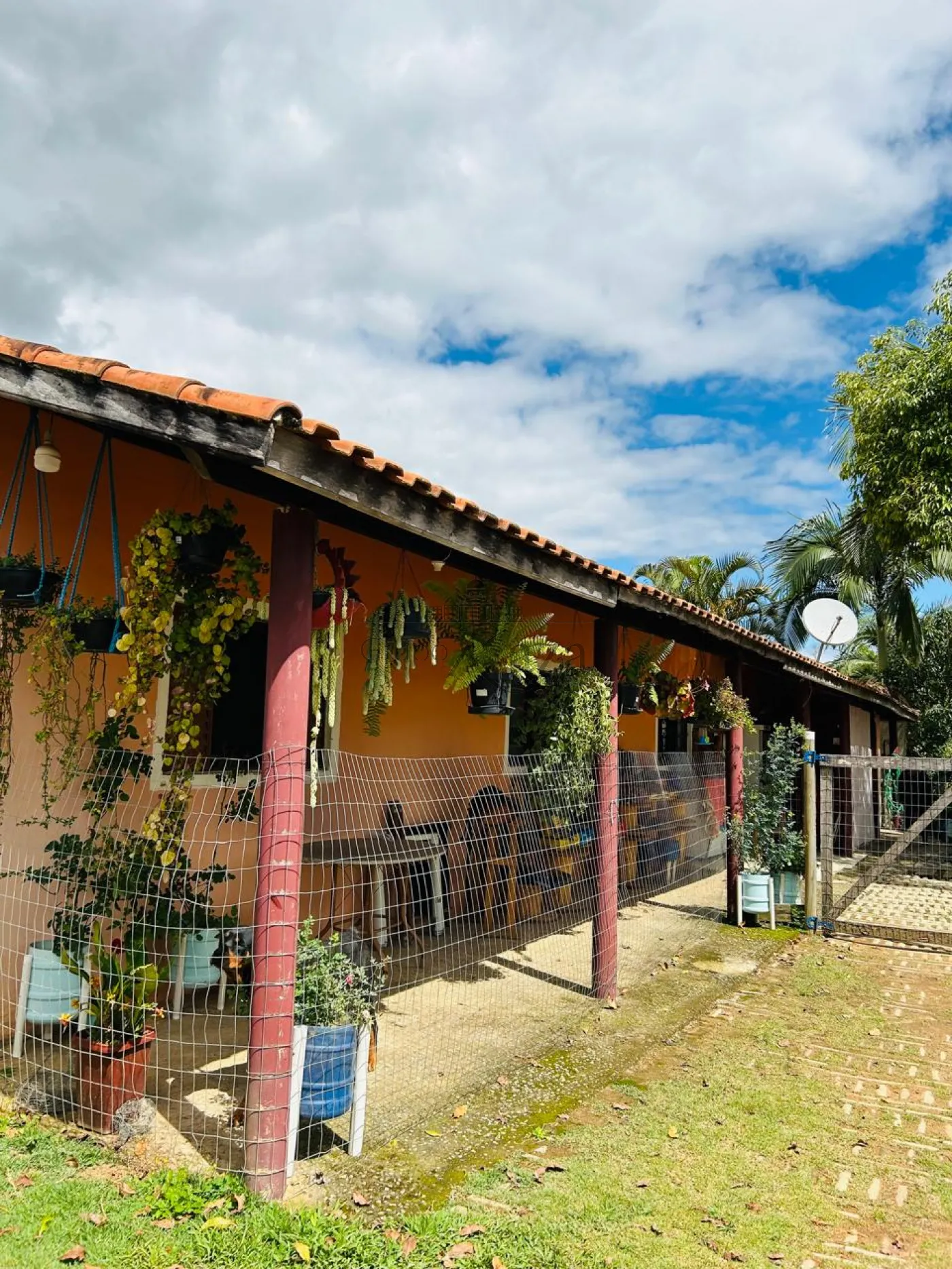 Foto 54 de Rural Chácara em Vila São Geraldo, São José dos Campos - imagem 54