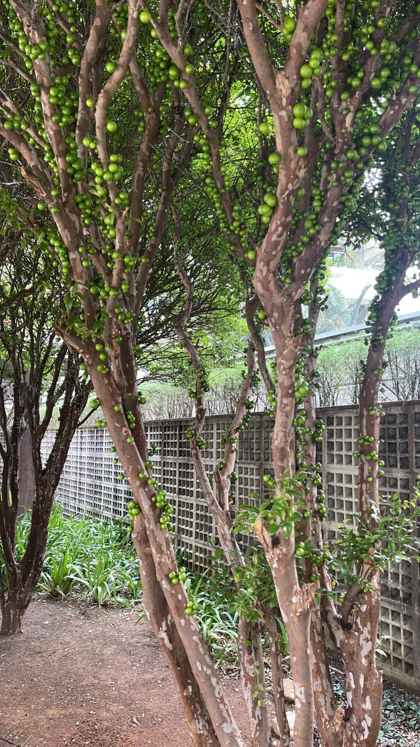 Foto 21 de Apartamento Duplex em Paraíso, São Paulo - imagem 21