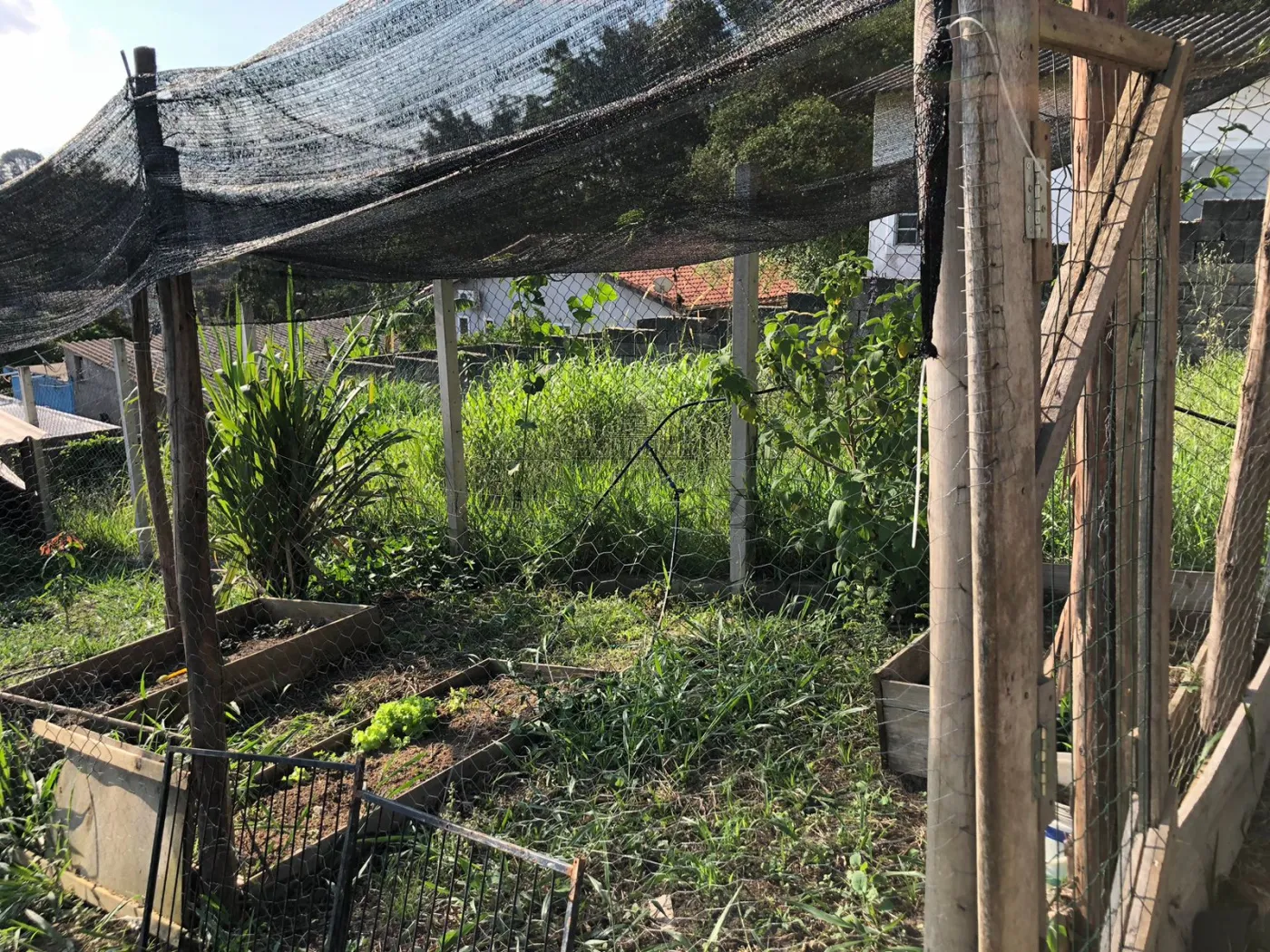 Foto 7 de Comercial Casa em Chácaras Reunidas Igarapés, Jacareí - imagem 7