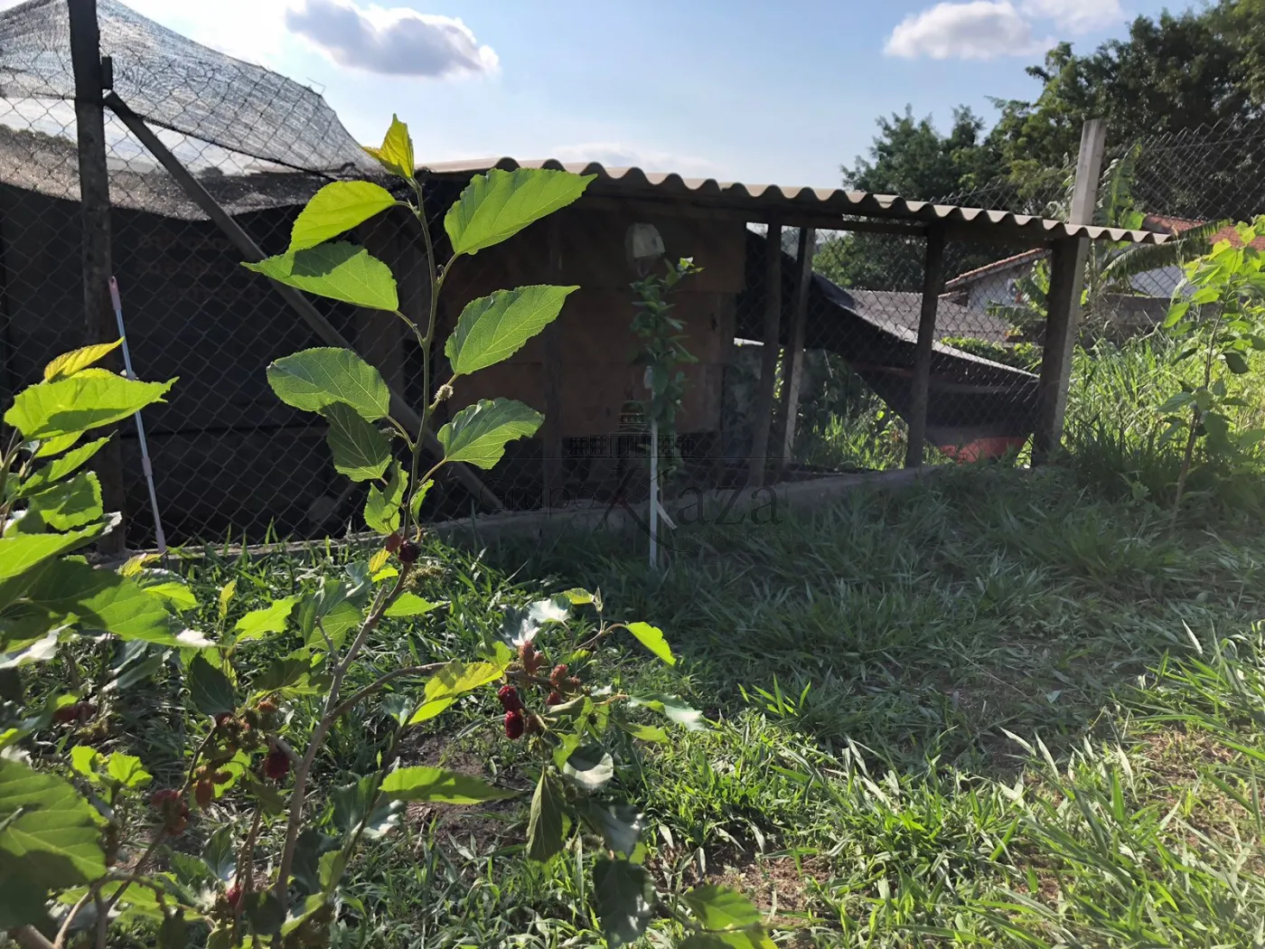 Foto 8 de Comercial Casa em Chácaras Reunidas Igarapés, Jacareí - imagem 8