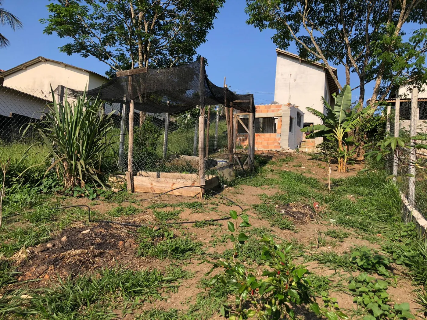 Foto 11 de Comercial Casa em Chácaras Reunidas Igarapés, Jacareí - imagem 11