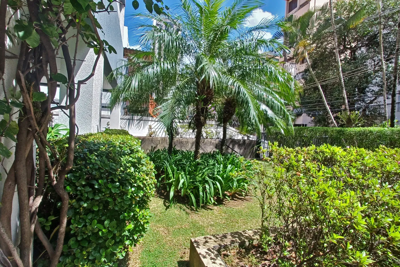 Foto 15 de Apartamento Padrão em Itaim Bibi, São Paulo - imagem 15