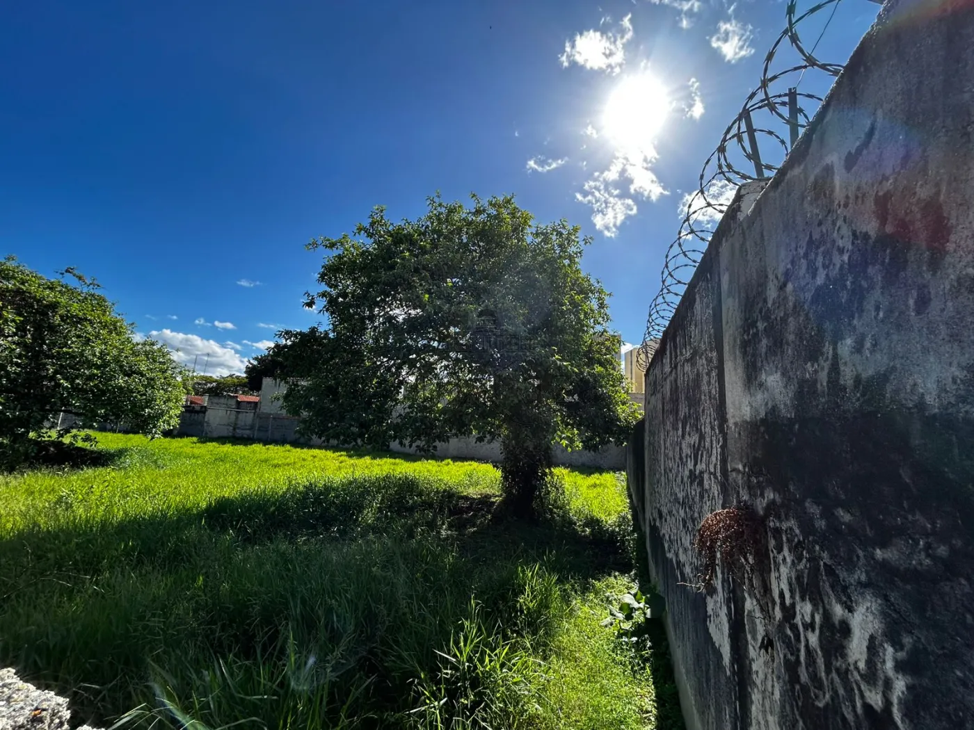 Foto 4 de Terreno Comercial em Jardim Liberdade, Jacareí - imagem 4