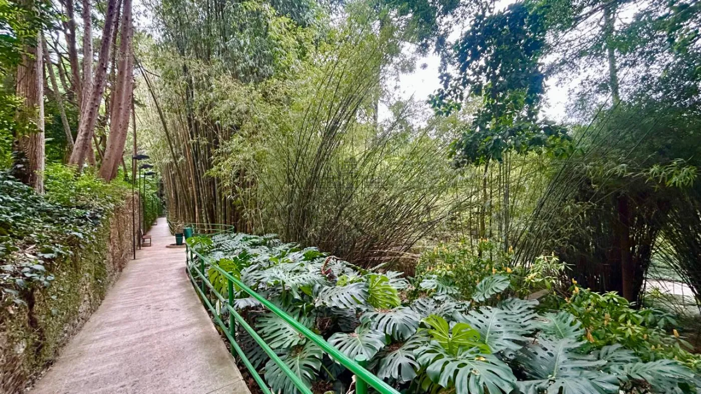 Foto 59 de Apartamento Cobertura Triplex em Jardim Marajoara, São Paulo - imagem 59