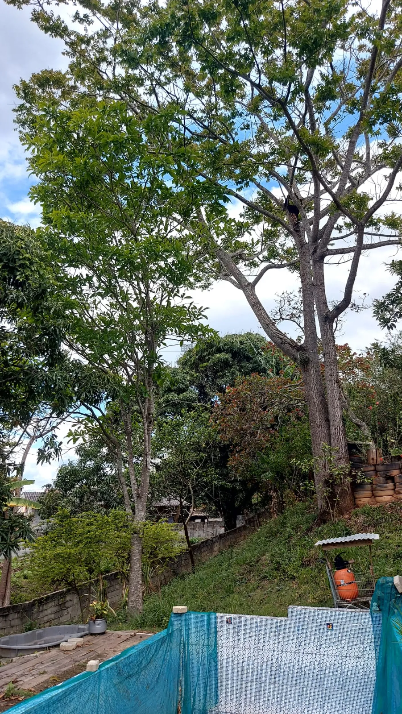 Foto 20 de Rural Chácara em Jardim Majestic, São José dos Campos - imagem 20
