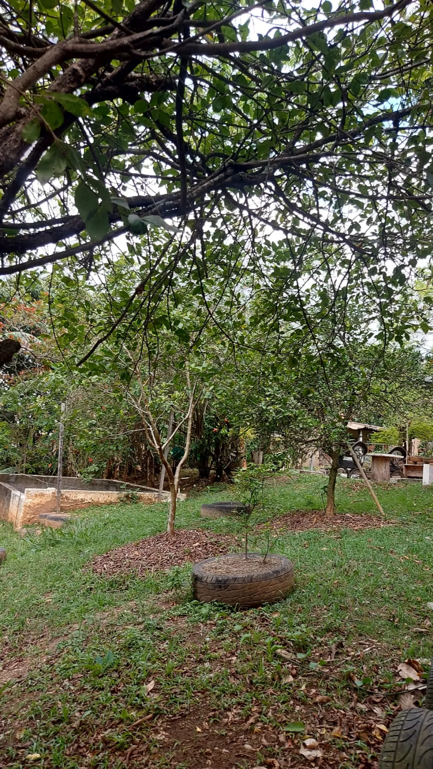 Foto 23 de Rural Chácara em Jardim Majestic, São José dos Campos - imagem 23