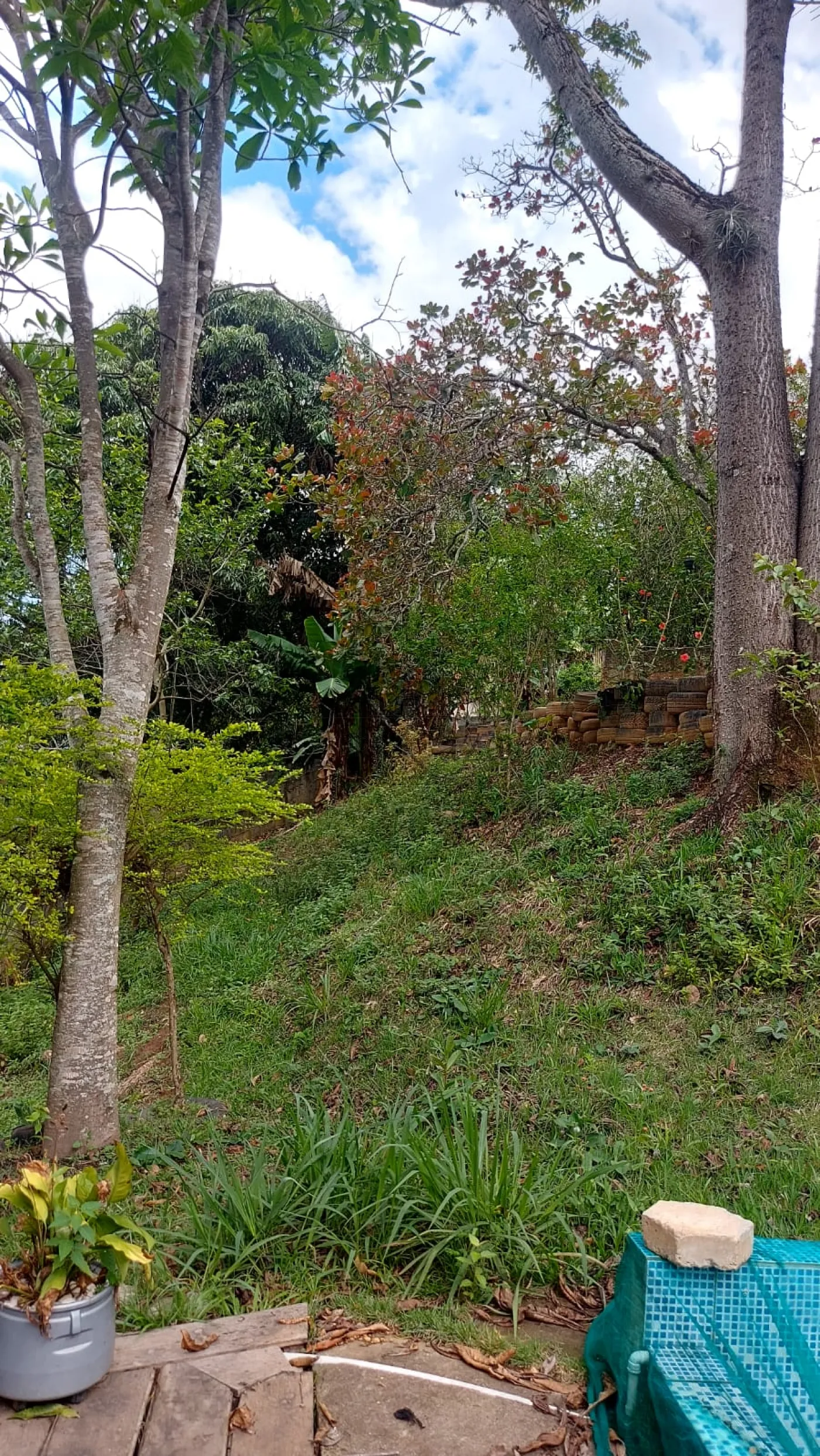 Foto 24 de Rural Chácara em Jardim Majestic, São José dos Campos - imagem 24