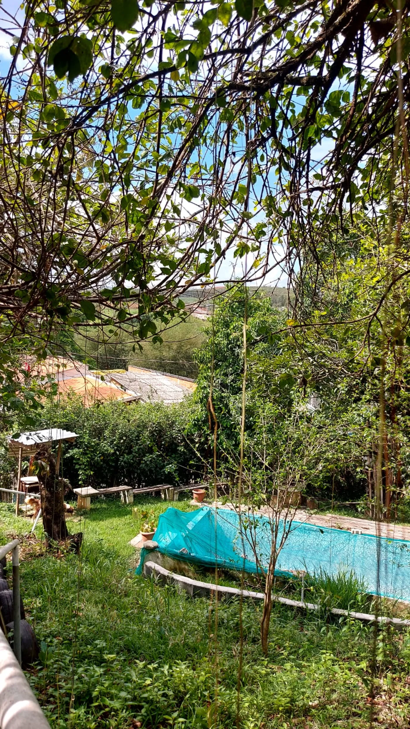 Foto 25 de Rural Chácara em Jardim Majestic, São José dos Campos - imagem 25