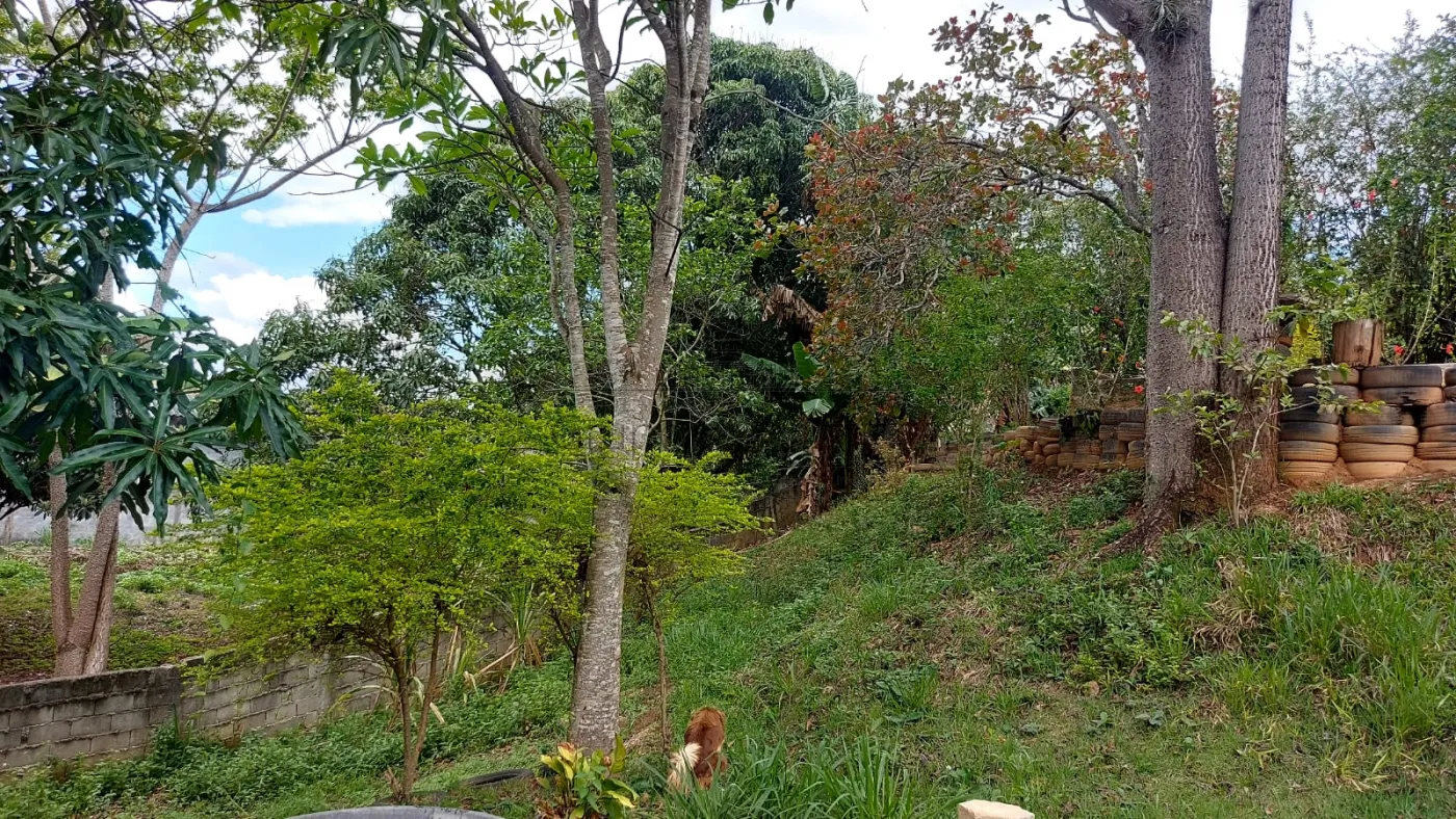 Foto 26 de Rural Chácara em Jardim Majestic, São José dos Campos - imagem 26