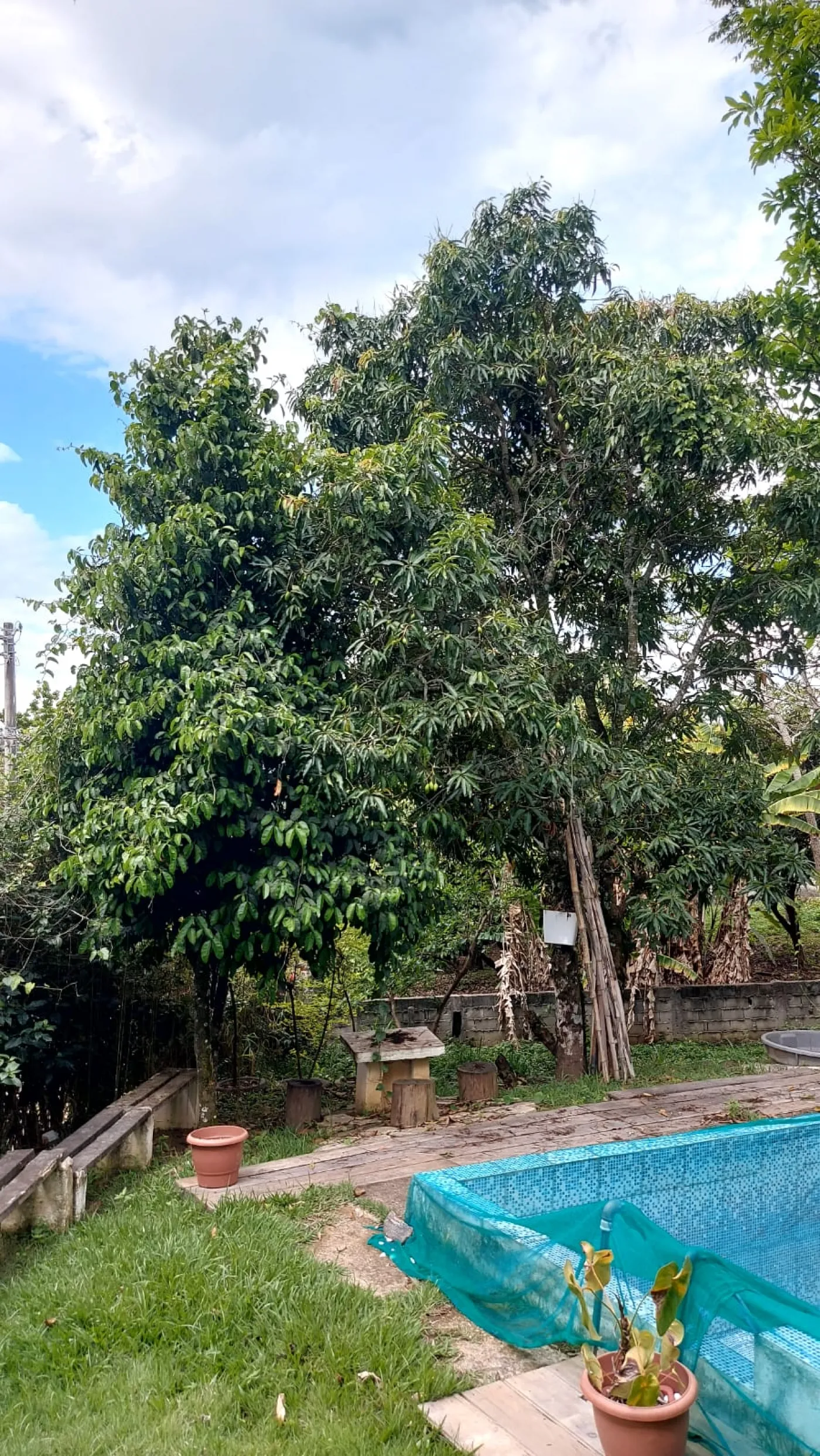 Foto 28 de Rural Chácara em Jardim Majestic, São José dos Campos - imagem 28