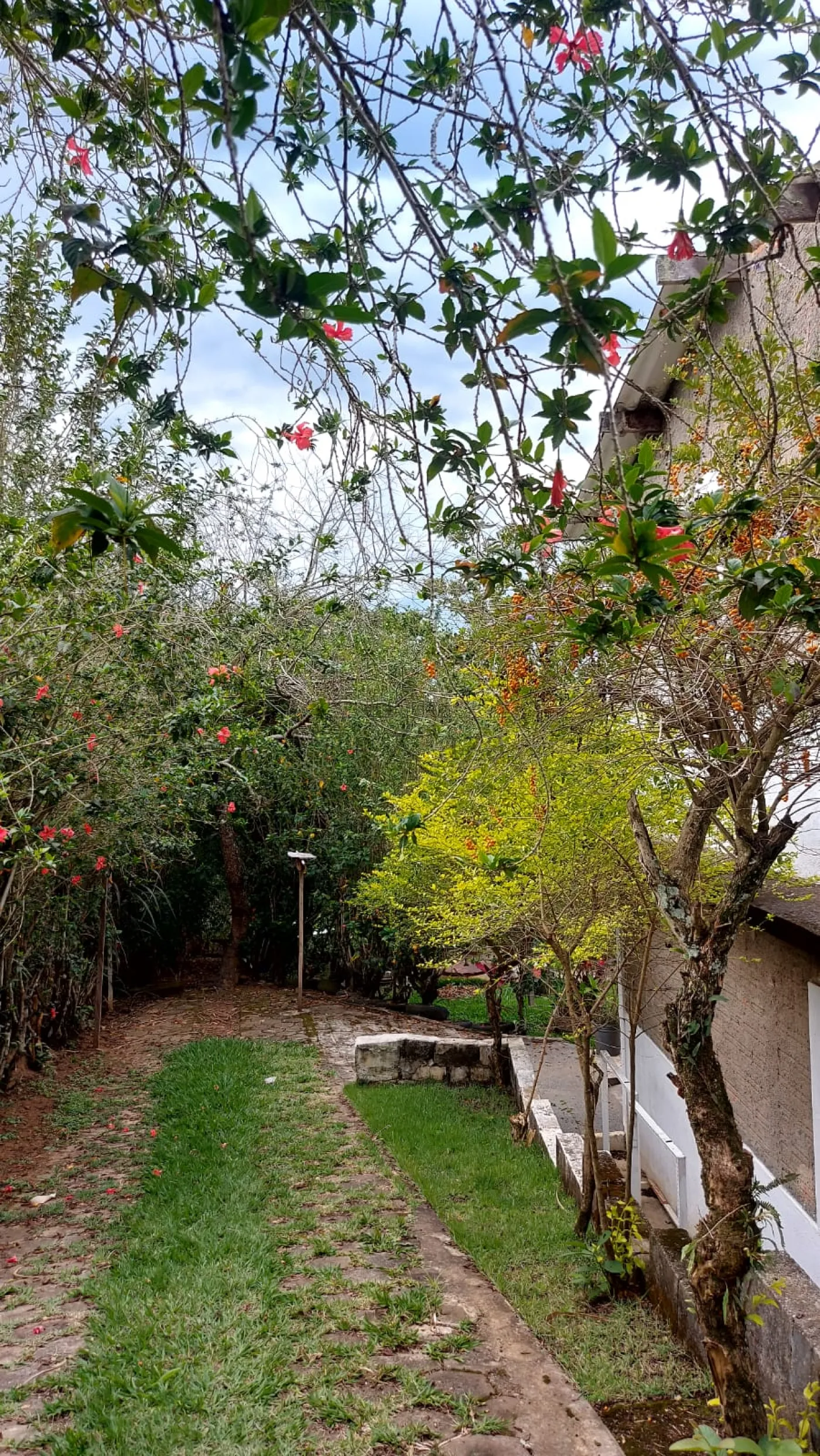 Foto 29 de Rural Chácara em Jardim Majestic, São José dos Campos - imagem 29