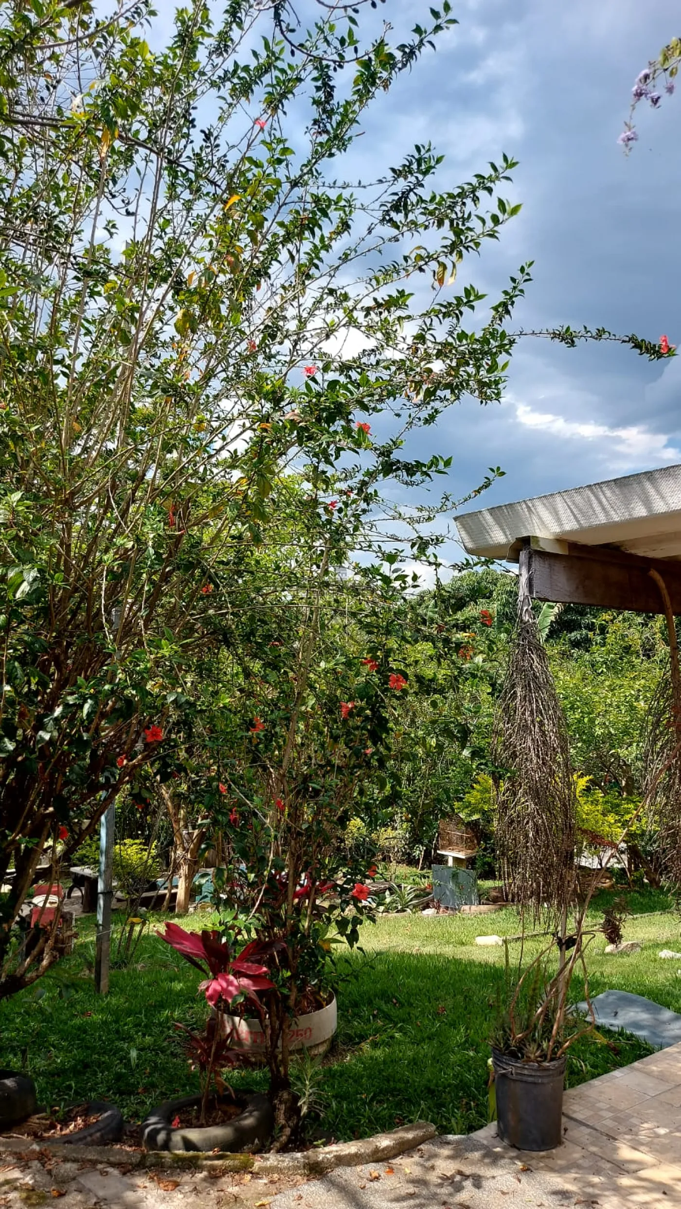 Foto 34 de Rural Chácara em Jardim Majestic, São José dos Campos - imagem 34