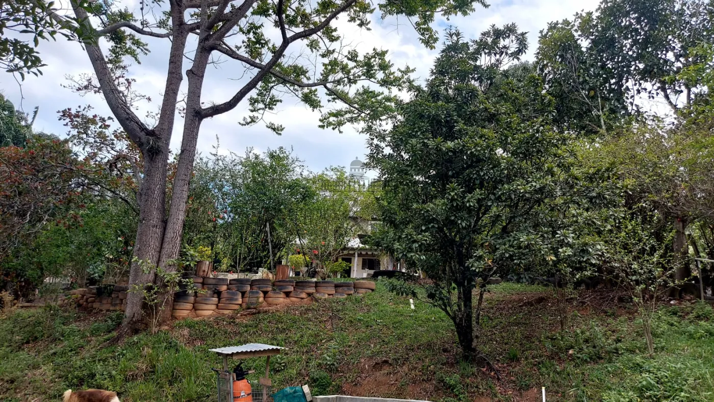 Foto 35 de Rural Chácara em Jardim Majestic, São José dos Campos - imagem 35