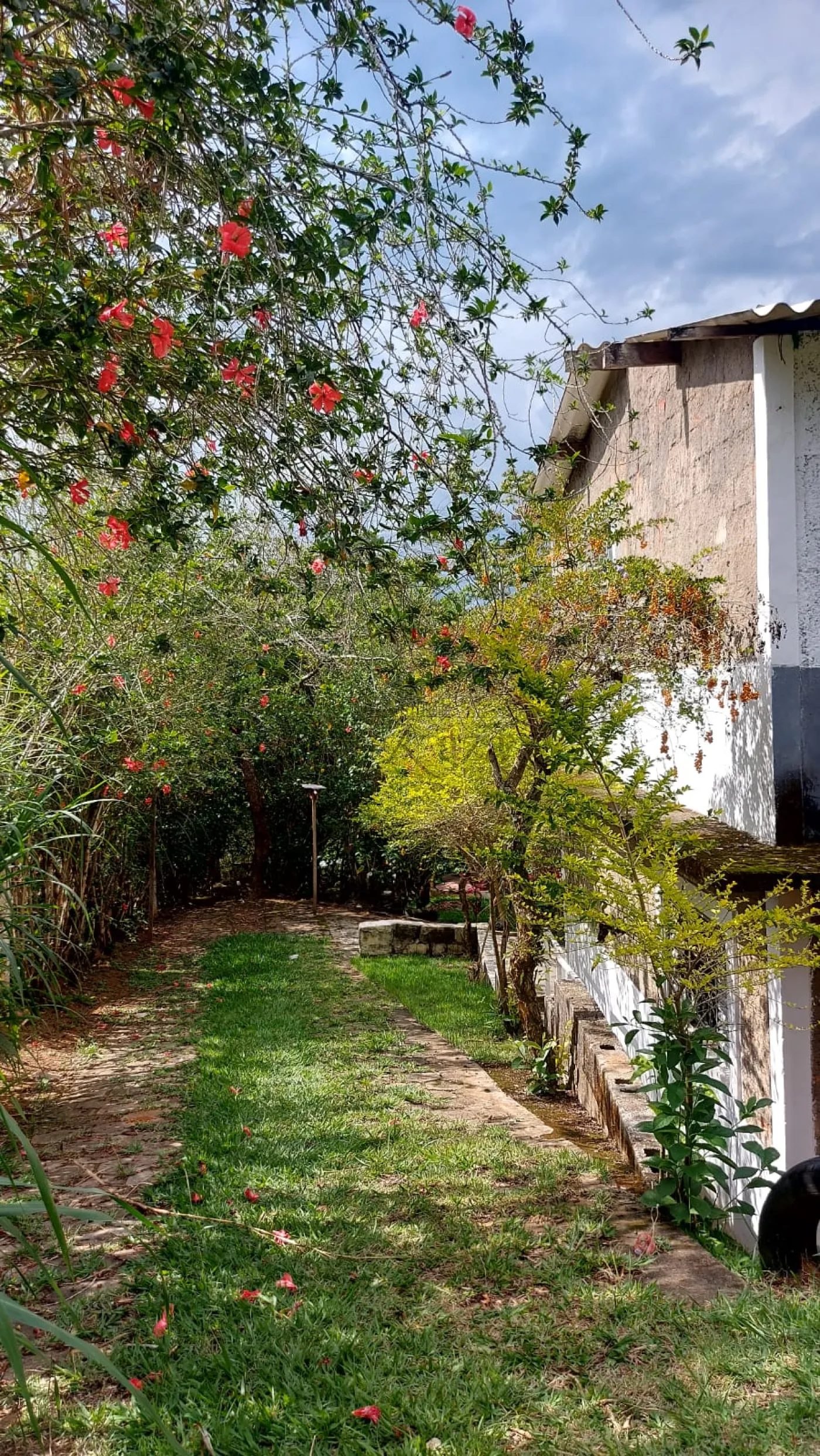 Foto 13 de Rural Chácara em Jardim Majestic, São José dos Campos - imagem 13