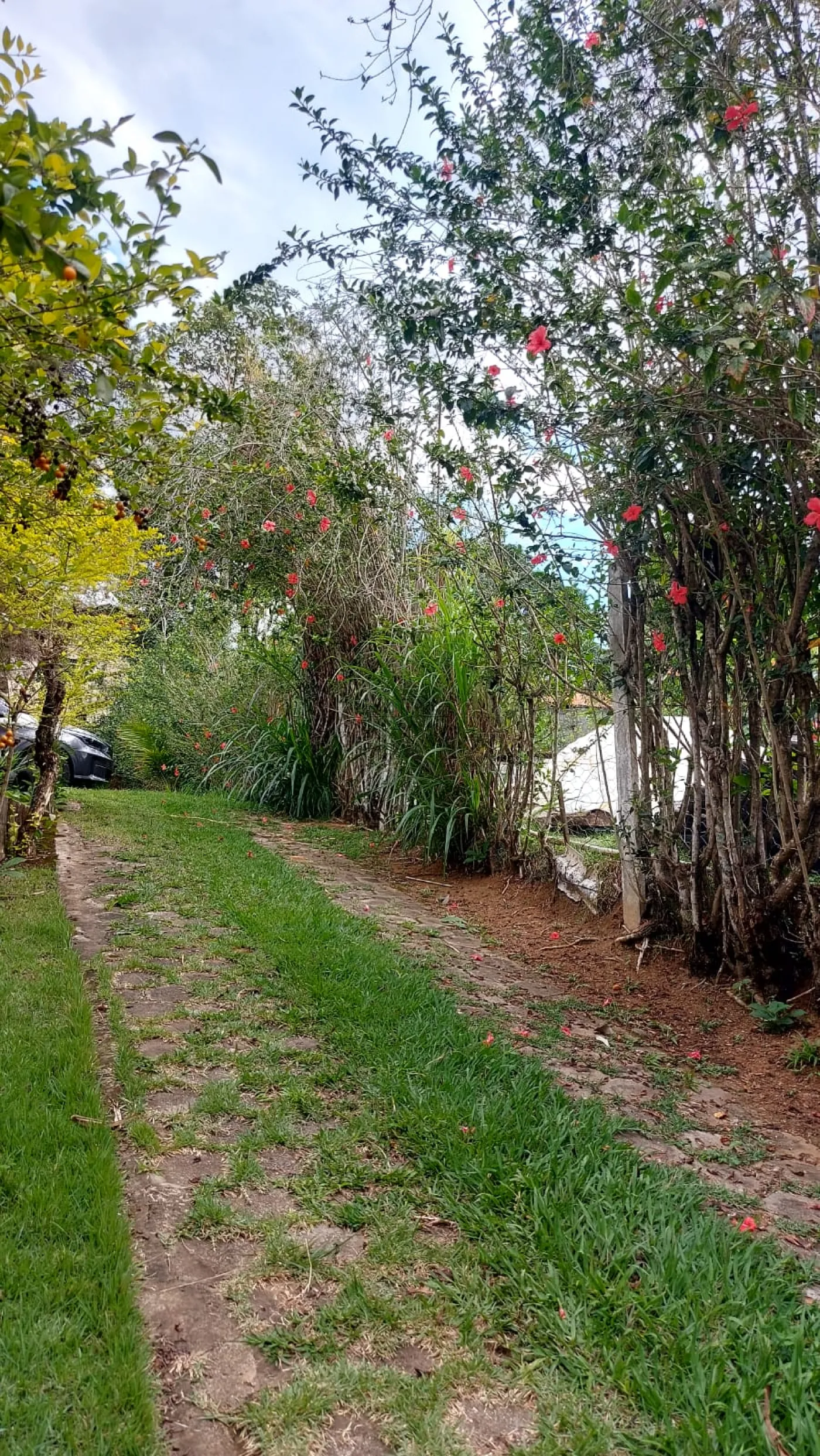 Foto 38 de Rural Chácara em Jardim Majestic, São José dos Campos - imagem 38